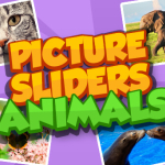 Picture Slider Animals